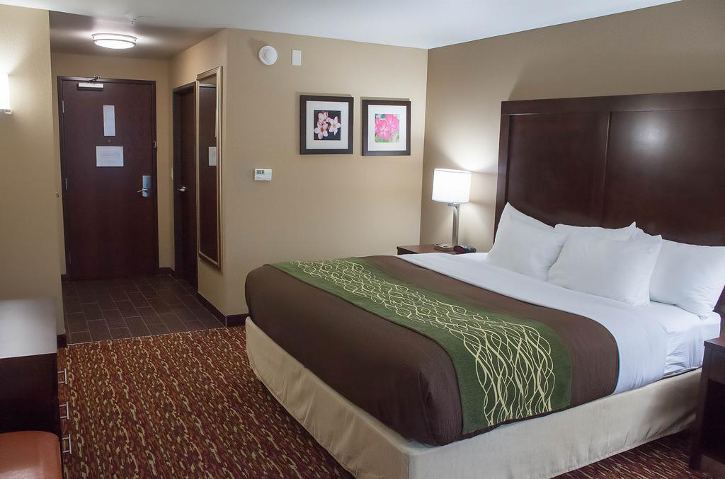 Comfort Inn & Suites Artesia Habitación foto